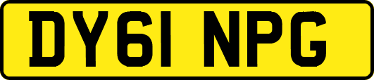 DY61NPG