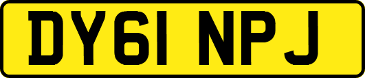 DY61NPJ