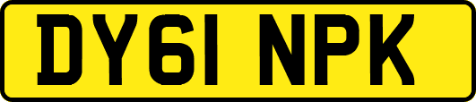 DY61NPK