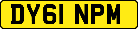 DY61NPM