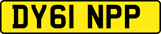 DY61NPP