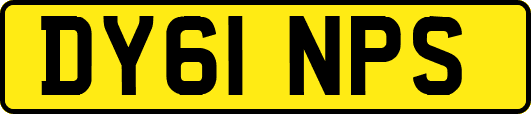 DY61NPS