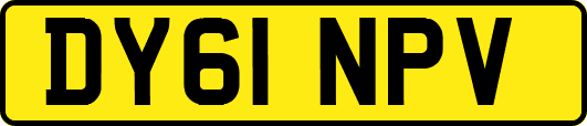 DY61NPV