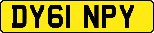 DY61NPY