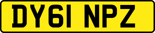 DY61NPZ