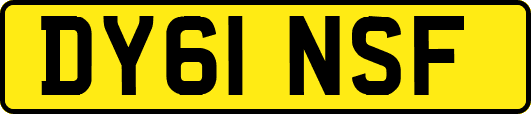 DY61NSF