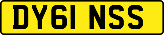 DY61NSS