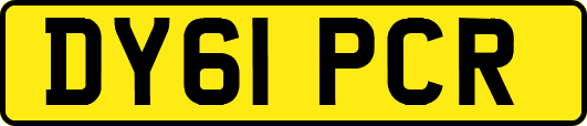 DY61PCR