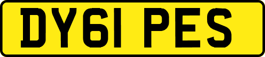 DY61PES