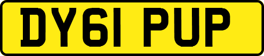 DY61PUP