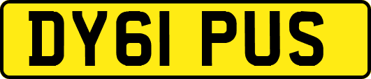 DY61PUS