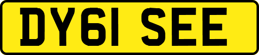 DY61SEE