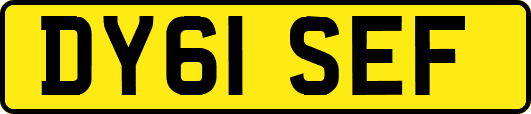 DY61SEF