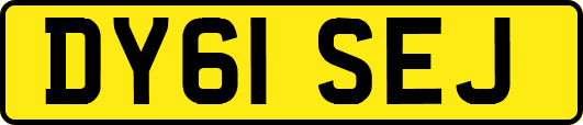DY61SEJ