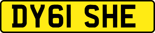 DY61SHE