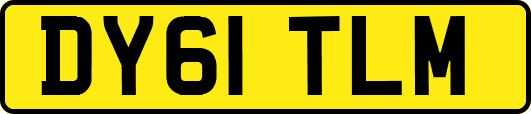 DY61TLM