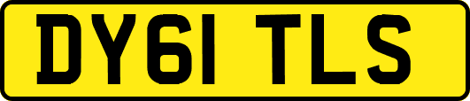 DY61TLS