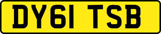 DY61TSB