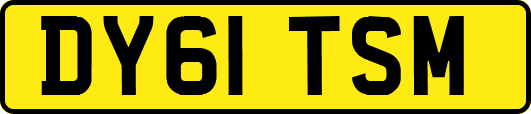 DY61TSM