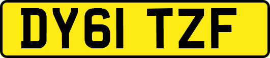DY61TZF