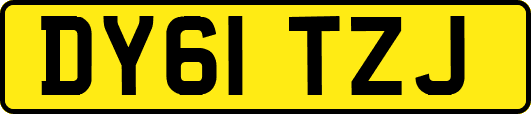 DY61TZJ