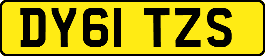DY61TZS