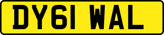 DY61WAL