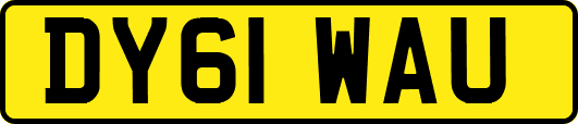 DY61WAU