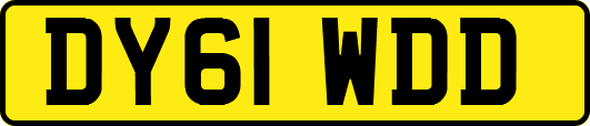 DY61WDD