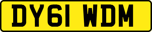 DY61WDM