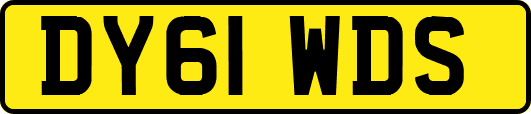 DY61WDS
