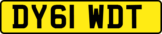 DY61WDT