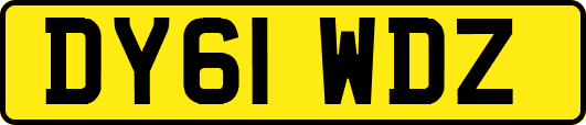 DY61WDZ