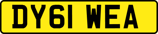 DY61WEA