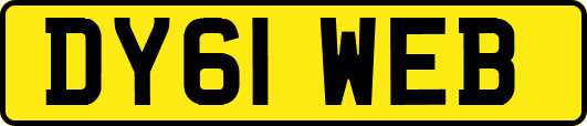 DY61WEB