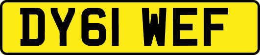 DY61WEF