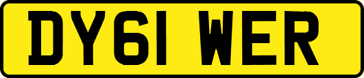 DY61WER