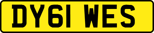 DY61WES