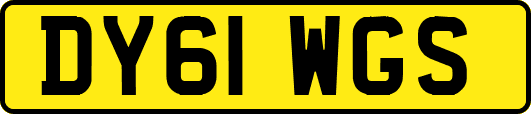 DY61WGS