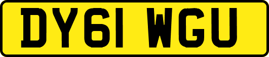 DY61WGU