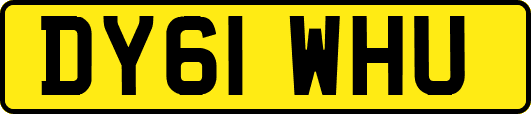 DY61WHU