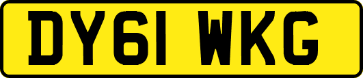 DY61WKG
