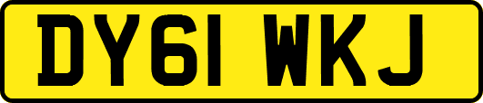 DY61WKJ