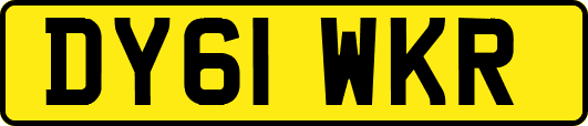 DY61WKR