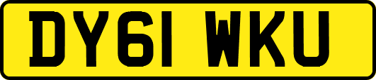 DY61WKU