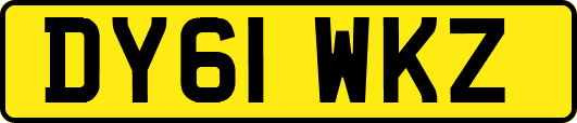 DY61WKZ
