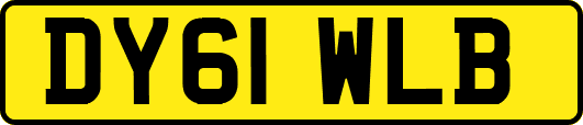 DY61WLB