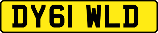 DY61WLD