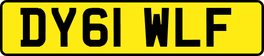DY61WLF