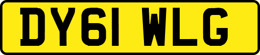 DY61WLG